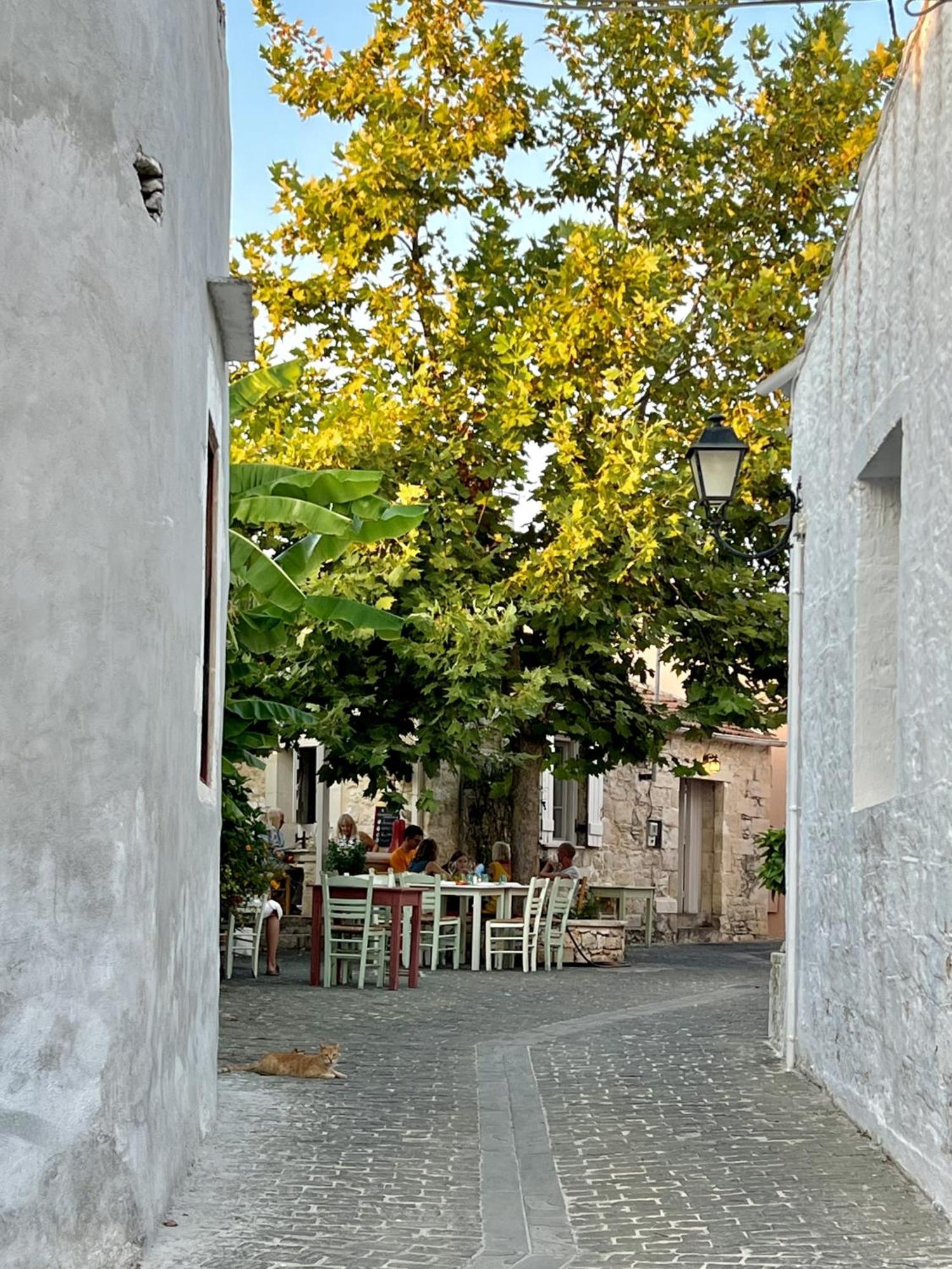 Villa Metapothia Gavalochori Crete Eksteriør bilde